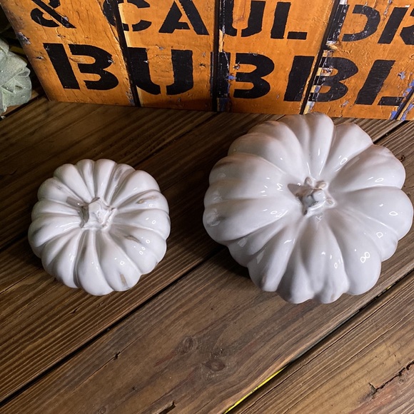 Crate&Barrel White Hand Glazed Ceramic Pumpkins - Set of Two - Medium and Small - Picture 3 of 16
